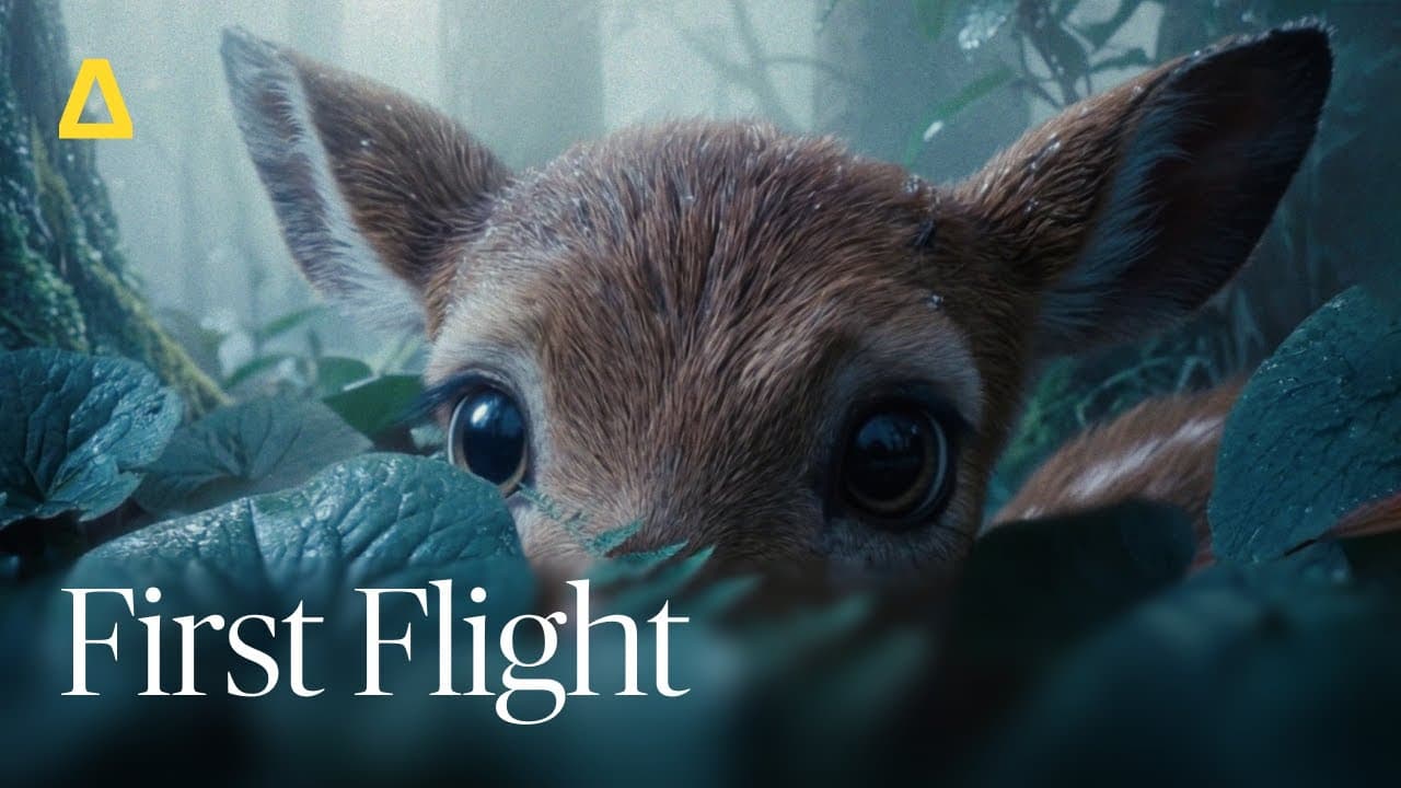 First Flight
